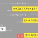 팔팔미담 이미지