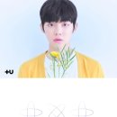 히트코인 뽑기방 이미지