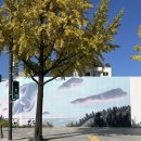 주)월드보은자기원 | 2025 월간 정미니 ㋉