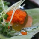 동경일식 이미지