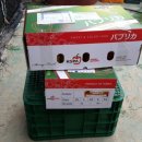 (주)햇살팜 이미지