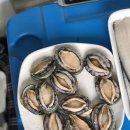 청경전복유통 | 전복요리/ 전복구이/ 청경 전복/진도 전복