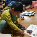 도꾸도꾸 이미지