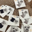 멍스데이 이미지