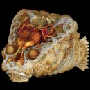 Sm Zone PC 이미지