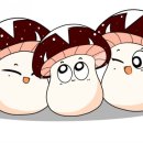원진비닐루 이미지