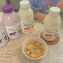 삼막골목장 이미지