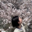 승호디자인 | 단발 컷트 추천 무이 삼성점 공승호 디자이너 테슬컷 헤어클리닉 후기