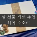 헤이수오미(hej.suomi) 티스토리