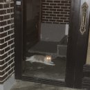 비룡5길 이미지