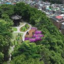 금천배수지근린공원 이미지