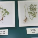 바로봄한의원 네이버블로그