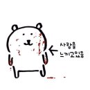 쿠마쿠마 티스토리