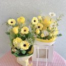 사림동120 이미지