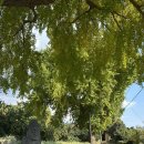 간동주유소 이미지