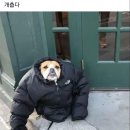 카페갤러리아 이미지