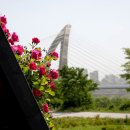 여울목수변공원 이미지