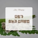 지안팜퍼니