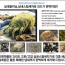 맑은샘크리닝 이미지