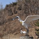 강화갯벌센터(Ganghwa Foreshore Center) 이미지