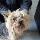 신암남로 이미지