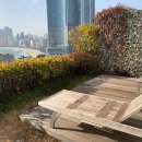 루나하우스 이미지