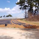 고남민박 이미지