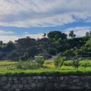 오동마을경로당 이미지