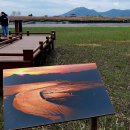 나의 화양연화 - 순천만습지와 세계순천정원박람회 이미지