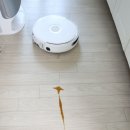 모던플로우 | 나르왈 플로우(Narwal Flow) 언박싱, 물걸레 로봇청소기 추천 후기