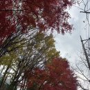 광흥창전철역 4번출구 | [서울 광흥창] 광흥창 에그타르트 맛집 포닐 에서 가을 무드 즐기기