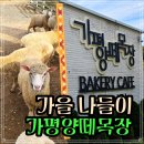 봉의목장 네이버블로그