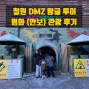 평화 | 철원 DMZ 투어 DMZ두루미평화타운 방문 후기
