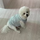 오월유통 | 고보습바디로션 예민한 피부도 쓰기 좋은 무향 저자극 오월의아침 후기