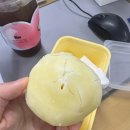 캔이수입잡화점 | 거북이 쉼터에서 시작하는 건 가짜라고 증산초에서 시작해야만 “진짜” 민둥산 등산
