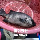 시장횟집 이미지