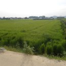 뉴파주부동산공인중개사사무소 이미지