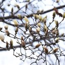 독서당공원 이미지