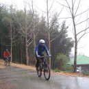 서천MTB 이미지