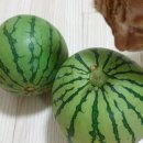 선녀상회