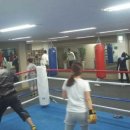 SJ 다이어트 복싱클럽 이미지