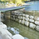 웅이네 캠핑장 이미지