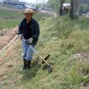 꺼먼돼지랑오리랑 이미지