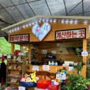 이집이좋겠네 이미지