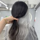 애쉬화이트 이미지