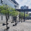 수세 웹이코노미