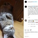 학원목장 이미지