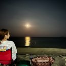 강원도 고성 봉수대오토캠핑장 61번사이트 이용후기/ 그늘명당 사이트 추천