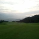 아리솔cc 이미지