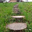 우리목장(1) 이미지